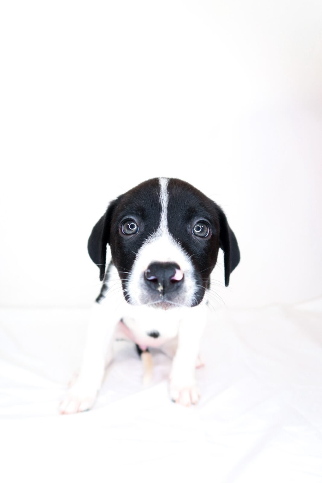 img_9061